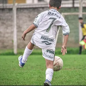 Donato Pardini