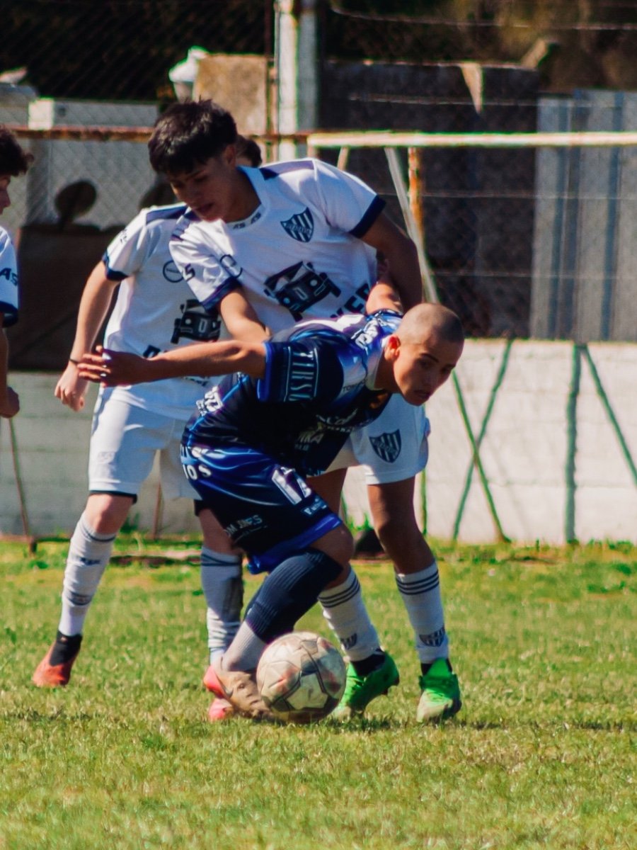 Tomas Mancinelli